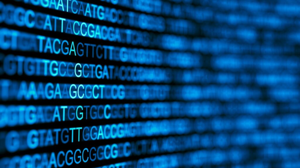 High Throughput Sequencing