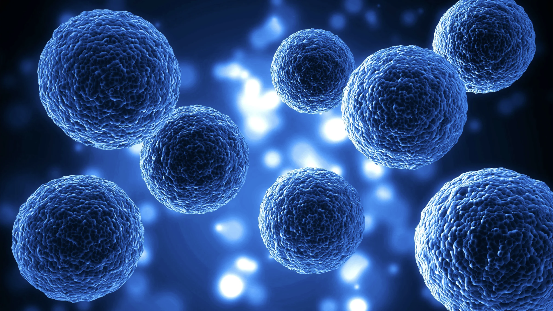 Single Cell Genomics