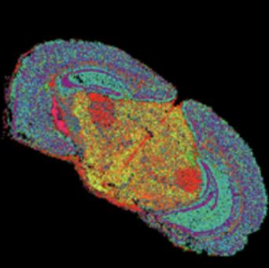 Seeker
